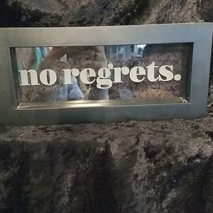 "No Regrets" Light Box